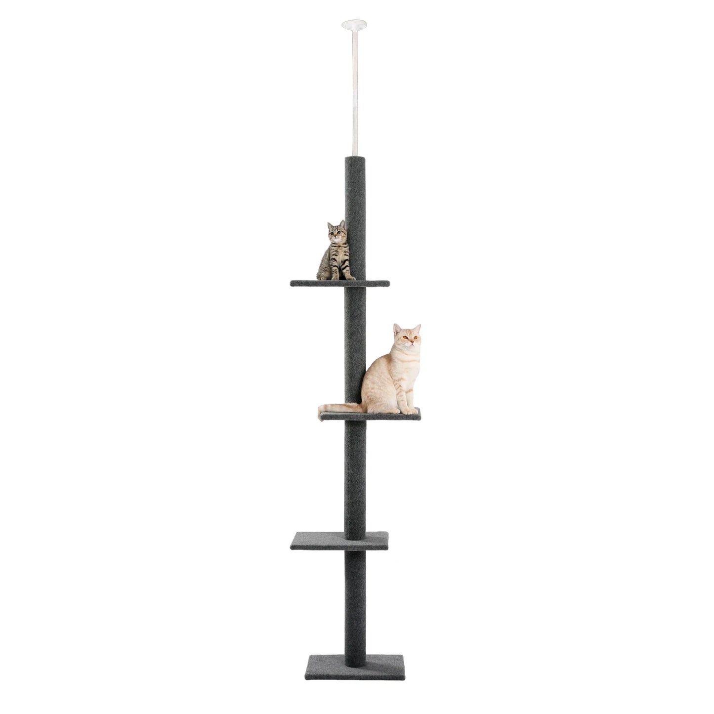 arbre Ă chat-5niveaux
