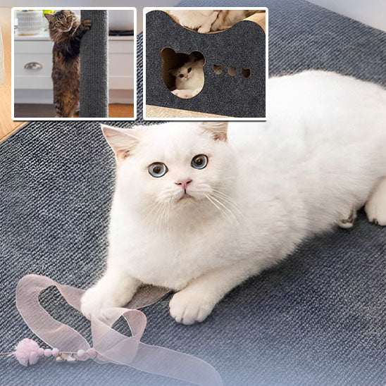 griffoir pour chat tapis ludique