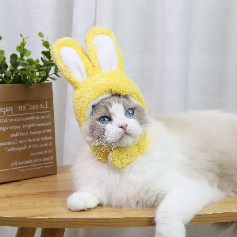 RabbitHat™ - Accessoire de déguisement pour chat - Amisdeschats