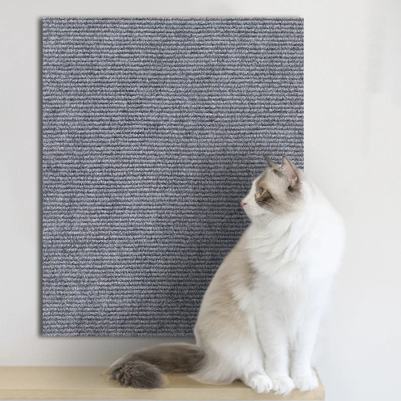 griffoir pour chat - tapis - Amisdeschats