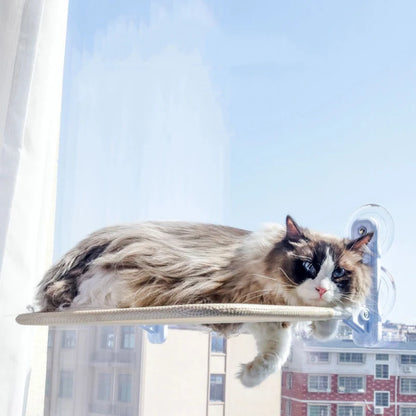 hamac pour chat-fenêtre