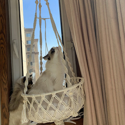 hamac pour chat-suspendu