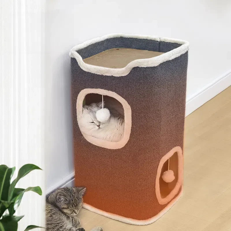arbre à chat-hublot