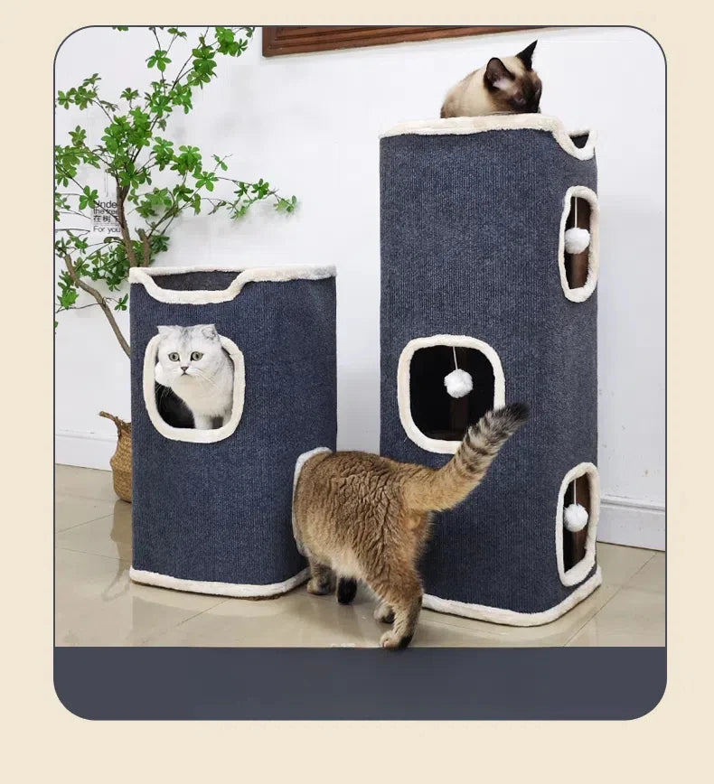 arbre à chat-hublot