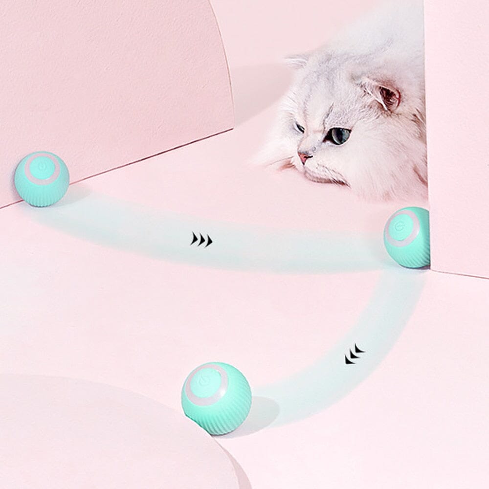 AutoBall™ - Jouet électrique interactifs pour chats - Amisdeschats