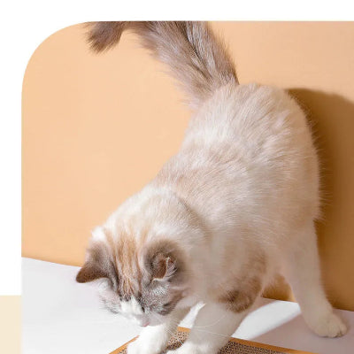 griffoir pour chat-souris
