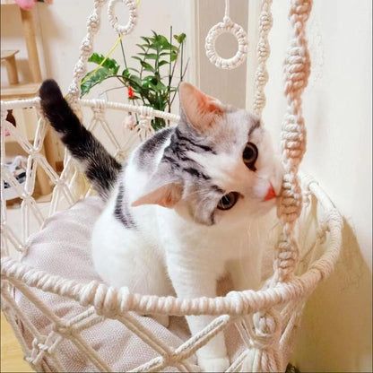 hamac pour chat-suspendu