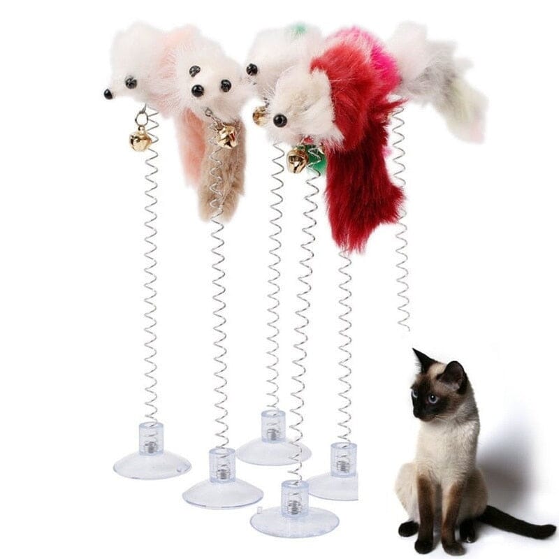 SpringFun™ - Colonne Spirale pour chat - Amisdeschats