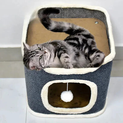 arbre à chat-hublot