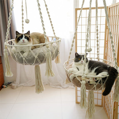 hamac pour chat-suspendu