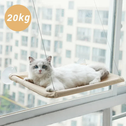 hamac pour chat-ventouse