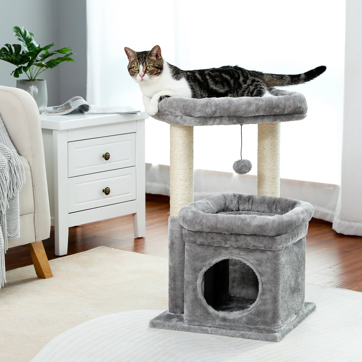 arbre à chat tour relaxant