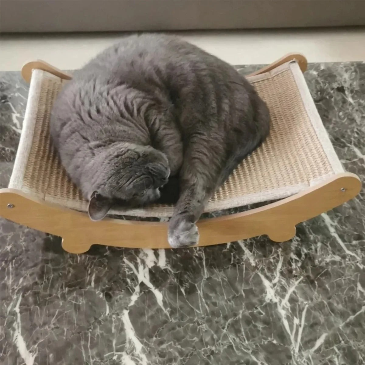 griffoir pour chat lit reposant