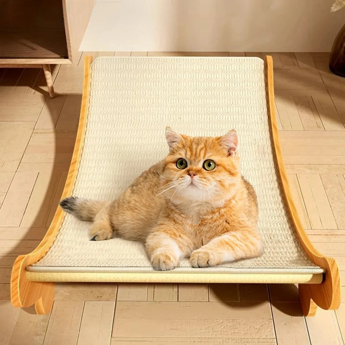 griffoir pour chat lit résistant