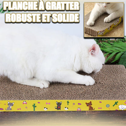 griffoir pour chat planche durable