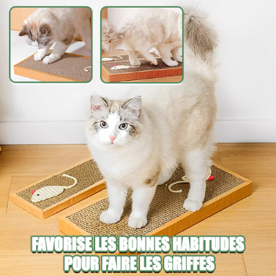 griffoir pour chat souris amusant
