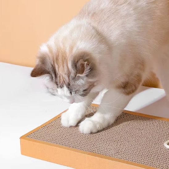 griffoir-pour-chat-souris-intrigant