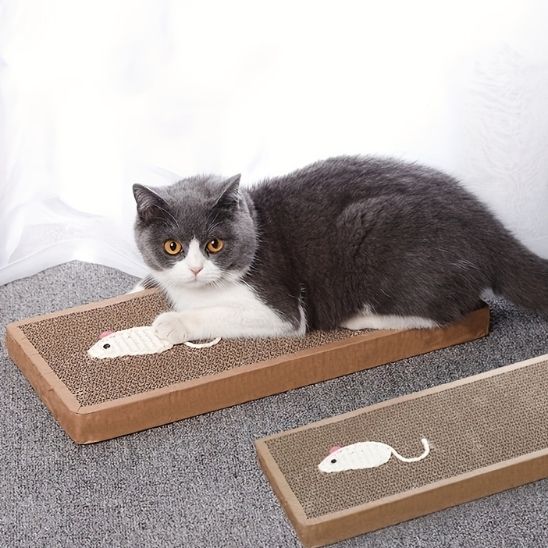 griffoir-pour-chat-souris-relaxant