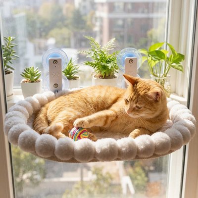 Hamac pour Chat ovale captivant