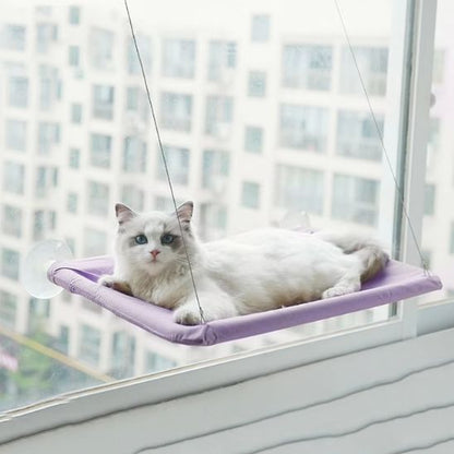 hamac pour chat-ventouse