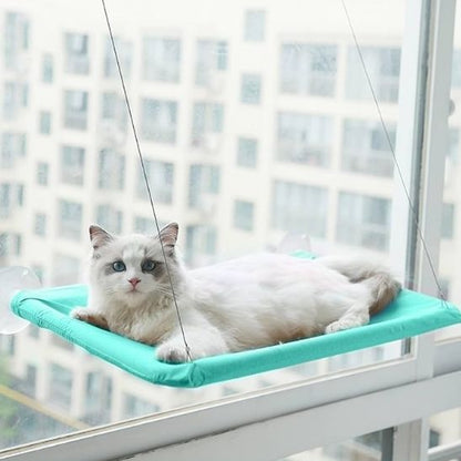 hamac pour chat-ventouse
