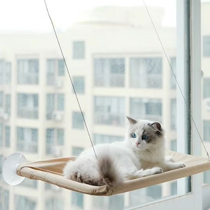 hamac pour chat-ventouse