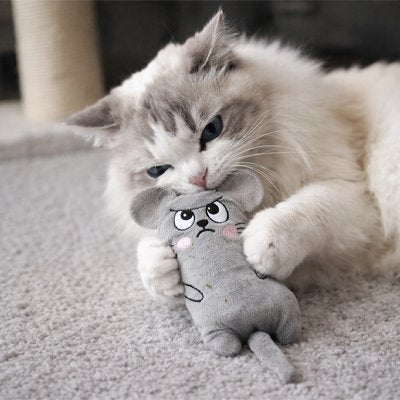Jouet chat peluche captivant