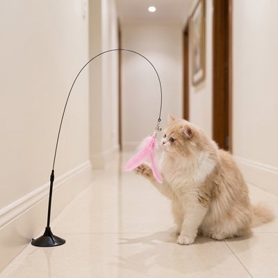 Jouet chat perche ventouse stimulant