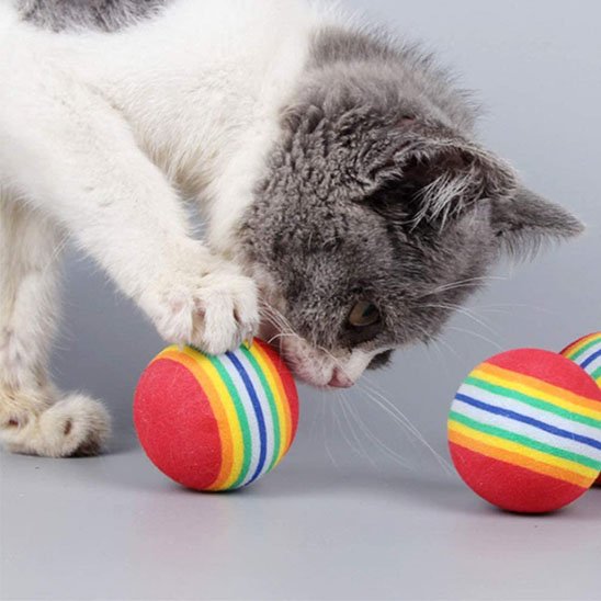 Jouet pour chat amusant