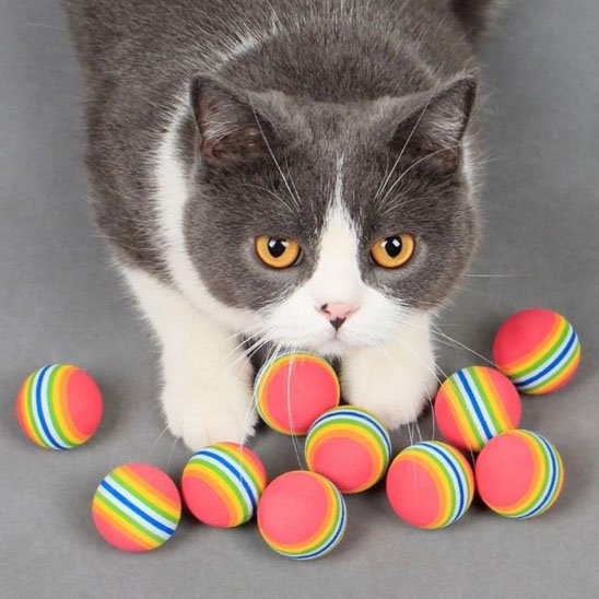Jouet pour chat arcenciel