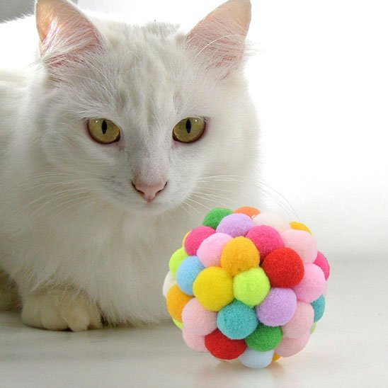 Jouet pour chat balle captivant