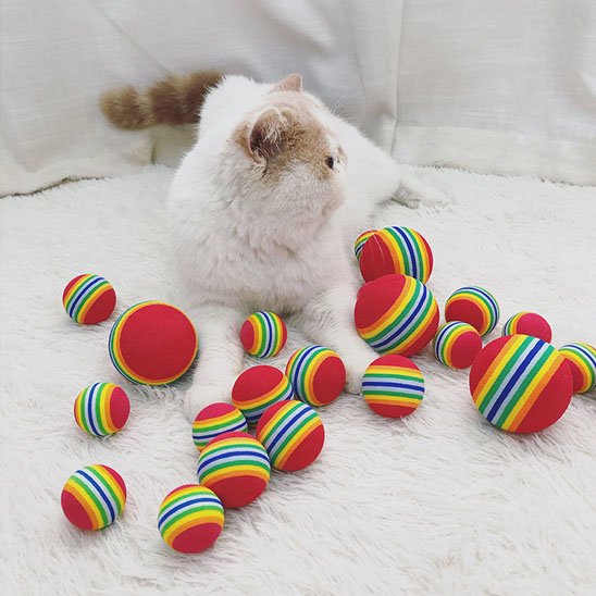 Jouet pour chat relaxant