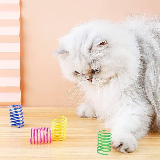 Jouet pour chat ressort amusant