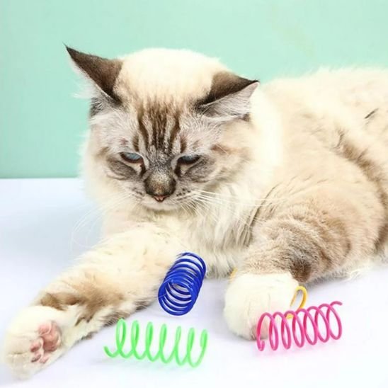 Jouet pour chat ressort captivant