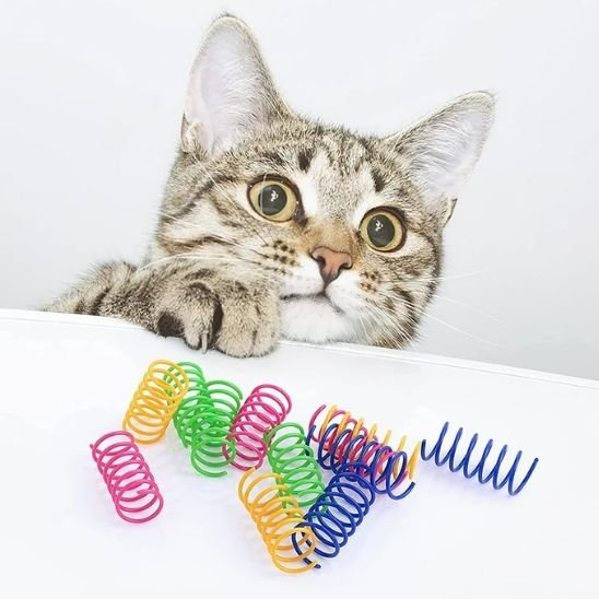 Jouet pour chat ressort intrigant