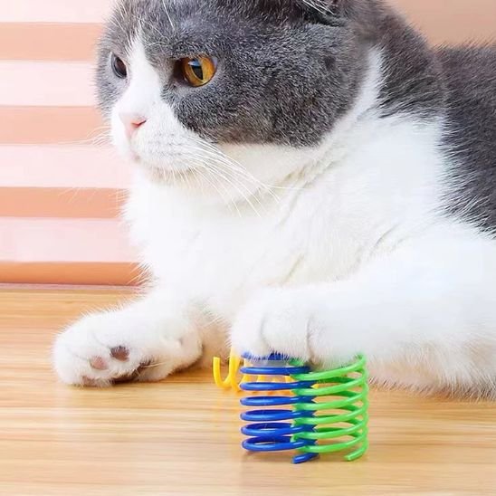 Jouet pour chat ressort rebondissant
