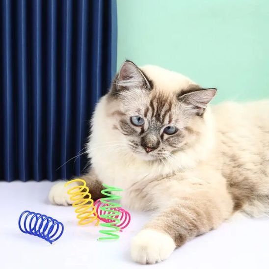 Jouet pour chat ressort résistant