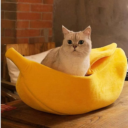 panier-chat-banane-ludique