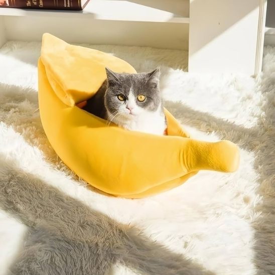 panier-chat-banane-relaxant