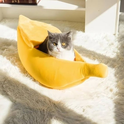 panier-chat-banane-relaxant