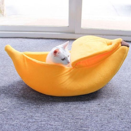 panier-chat-banane-reposant