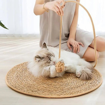 Tapis griffoir chat amusant