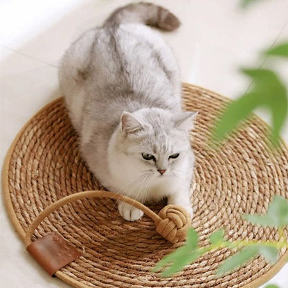 Tapis griffoir chat captivant