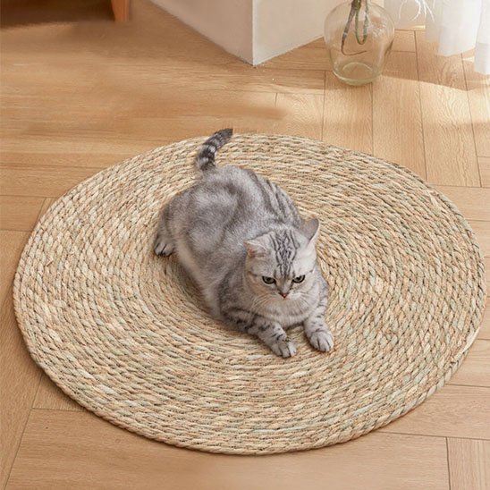 Tapis griffoir chat ludique