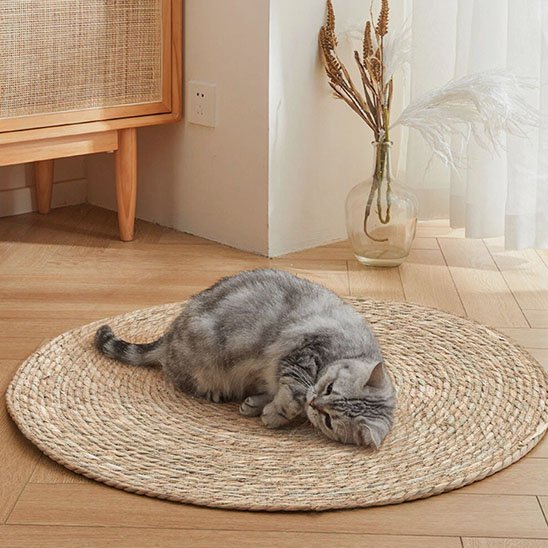 Tapis griffoir chat relaxant